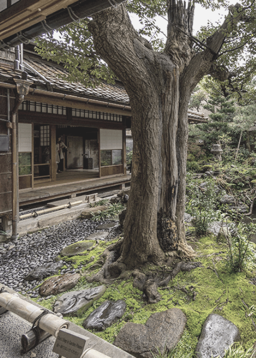 Samurai House Kanazawa