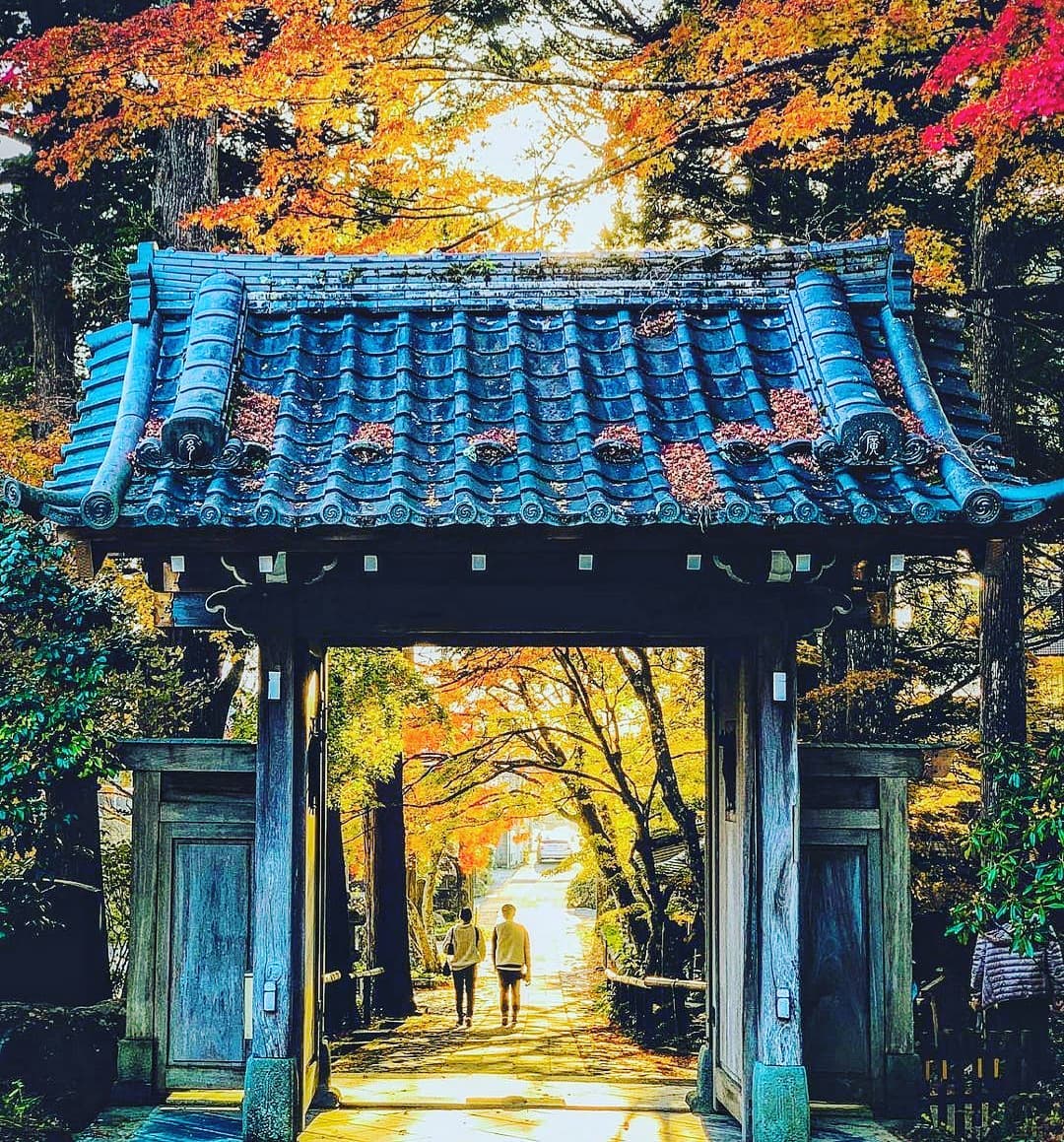 .
Autumn in Japan.
What a glorious time to be there! 
.
And November 2022 will see us there too. 
And.We.Cannot.Wait...🍁🍂🍁🍂🍁🍂
.
Tour details released soon!
.
#autumninjapan #boutiquetraveljapan #japan2022 #lovejapan #womenonlytravel #womenonlytraveljapan #forwomenbywomen #womenwholovetotravel #autumnleaves