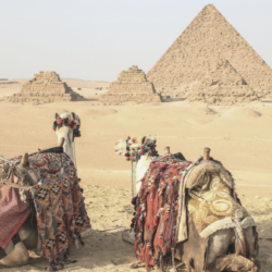 Egypt: Footsteps of The Pharaohs