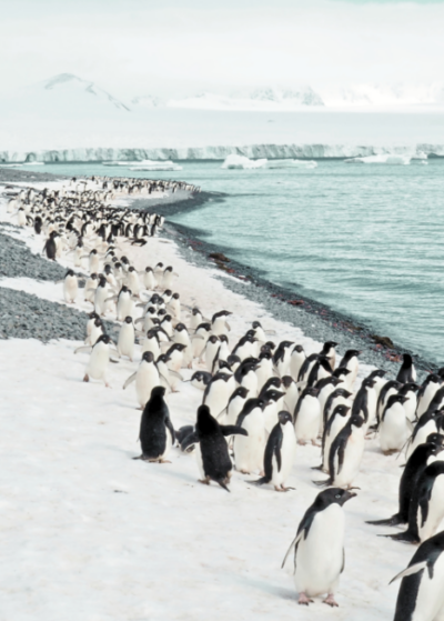 Antarctica: The White Continent Women's Journey