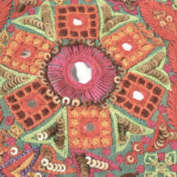 Golden Gujarat: a women-only-tour through Ahmedabad, Gir National Park, Kutch and Udaipur
