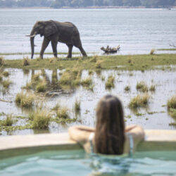 Malawi & Zambia: The Warm Heart of Africa Women only Safari