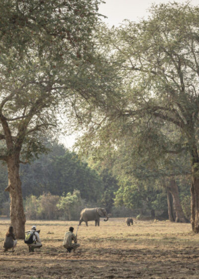 Malawi & Zambia: The Warm Heart of Africa Women only Safari