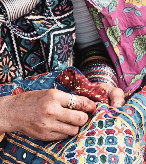 Golden Gujarat: a women-only-tour through Ahmedabad, Gir National Park, Kutch and Udaipur